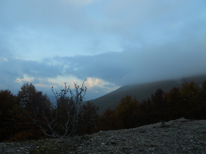 Pomeriggio A Campo Catino